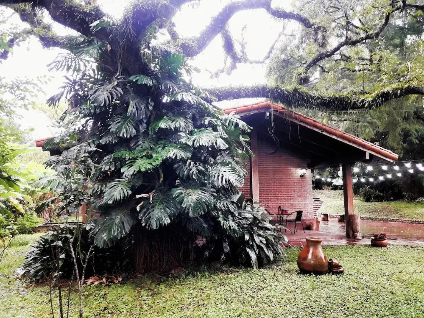 Terrazas Del Coya - Hostel