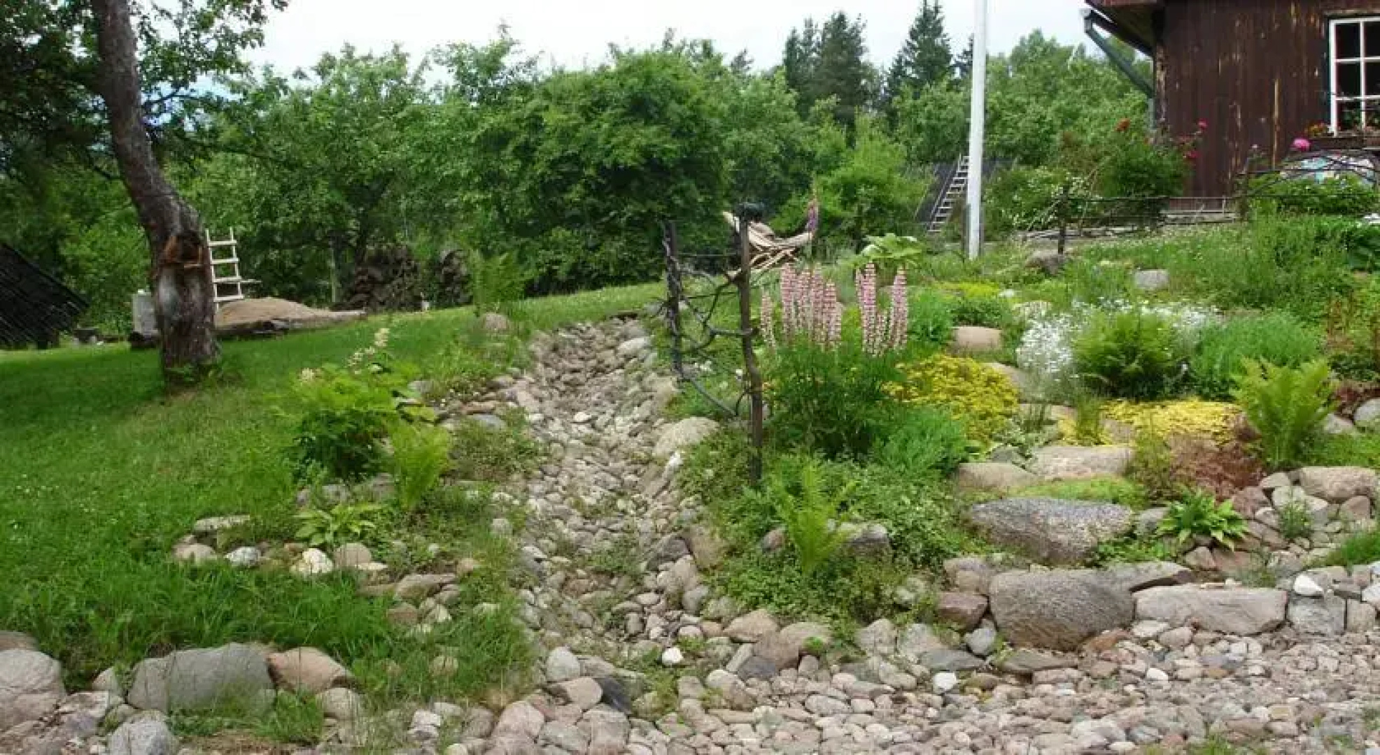Rožkalns