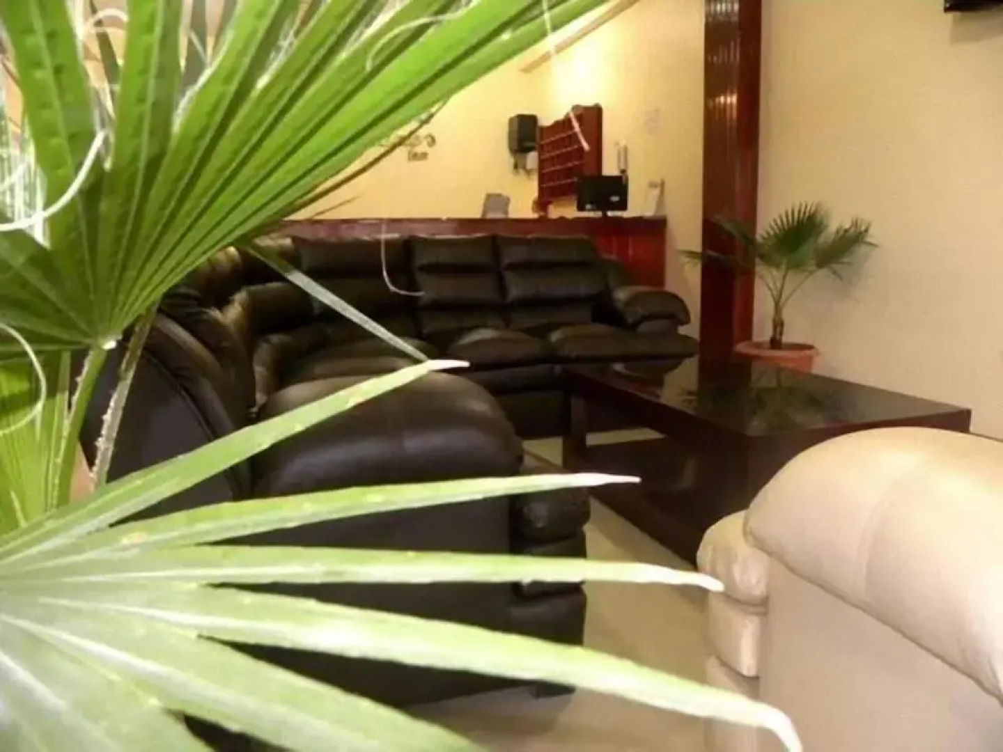 Hotel Jose Antonios Inn