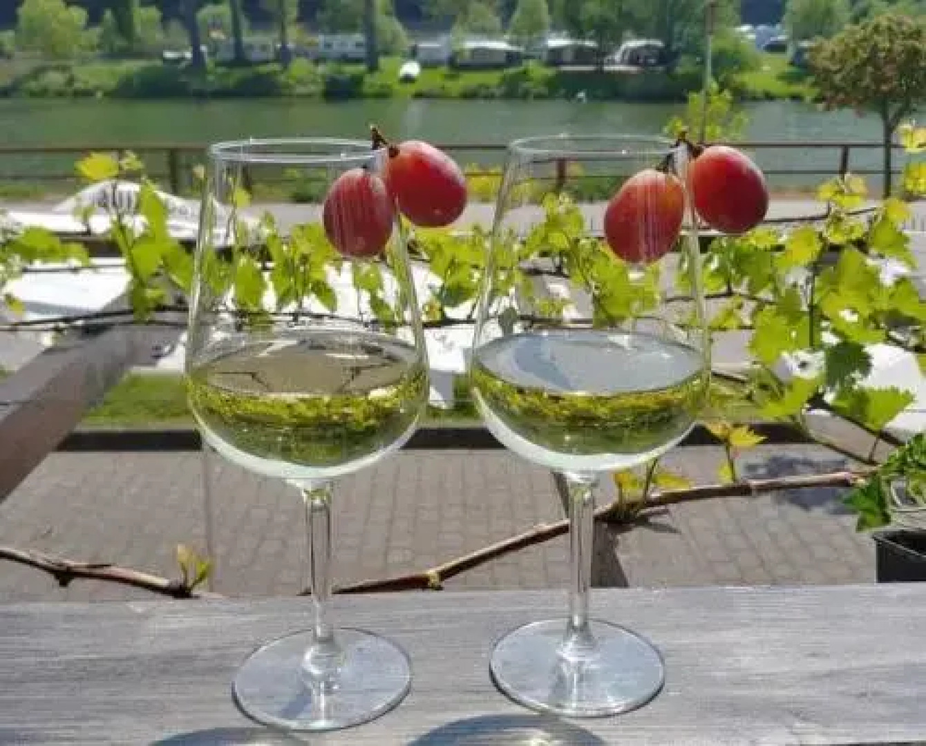 Hotel Haus am Rebstock