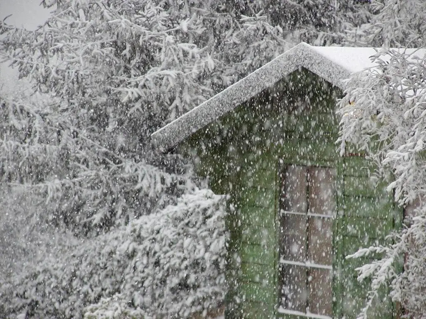Bed and Breakfast I Gatti Del Castello