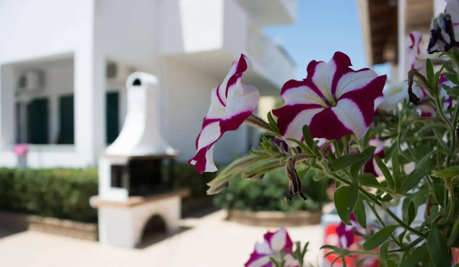 Chandris Apartments