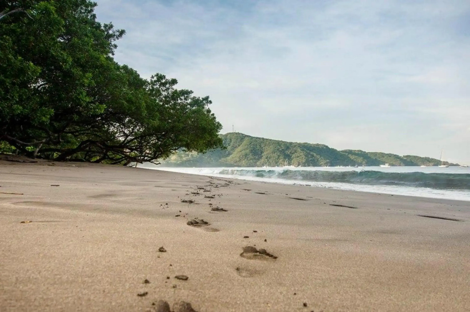 Villas Sol Beach Resort