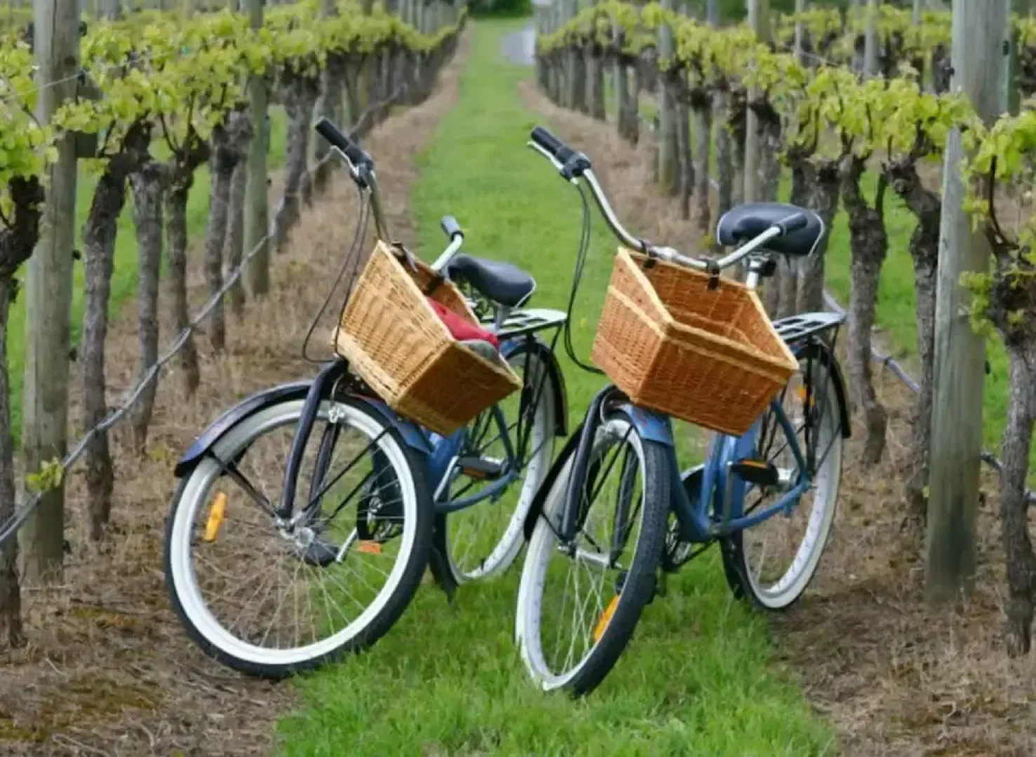 Bed and Breakfast Vallombrosa