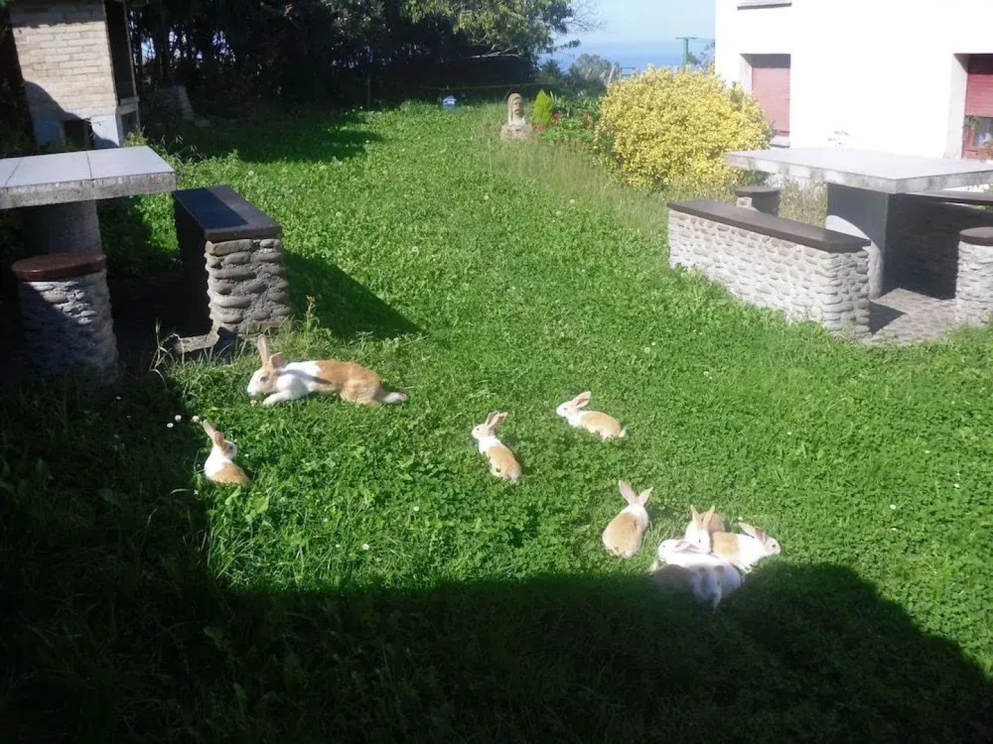 Agroturismo Donibane