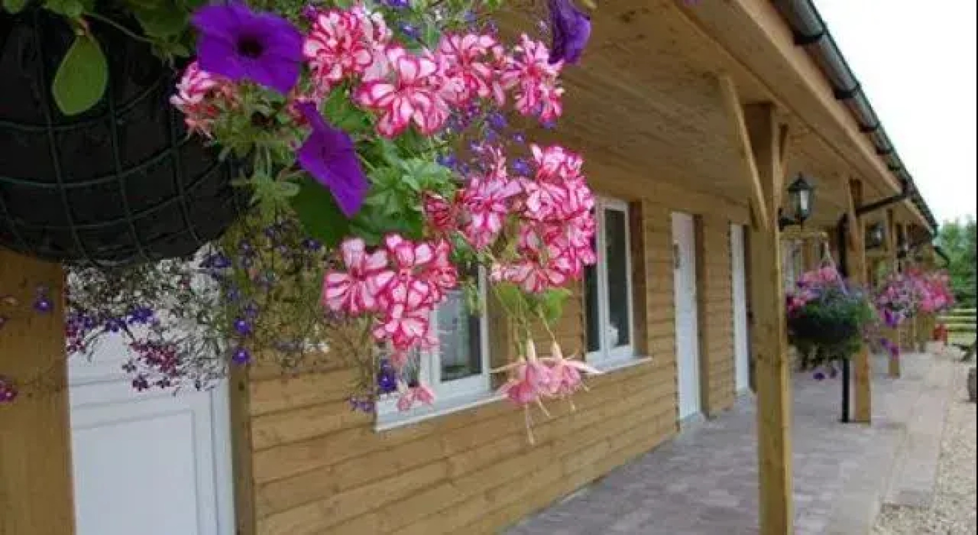 The Flying Fish Stables