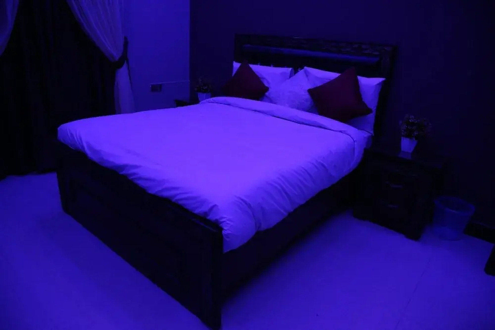 Hotel Paradise Lounge