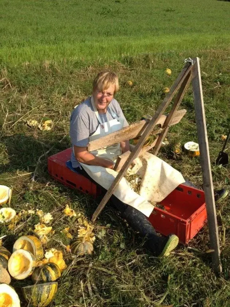 Gästeapartement Schlossblick