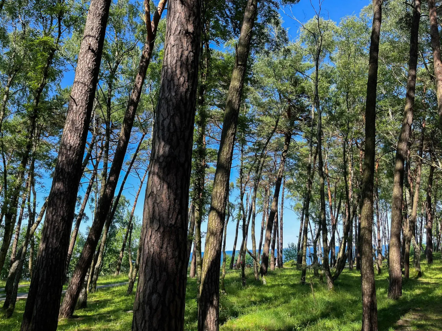 Апартаменты на Комсомольском переулке