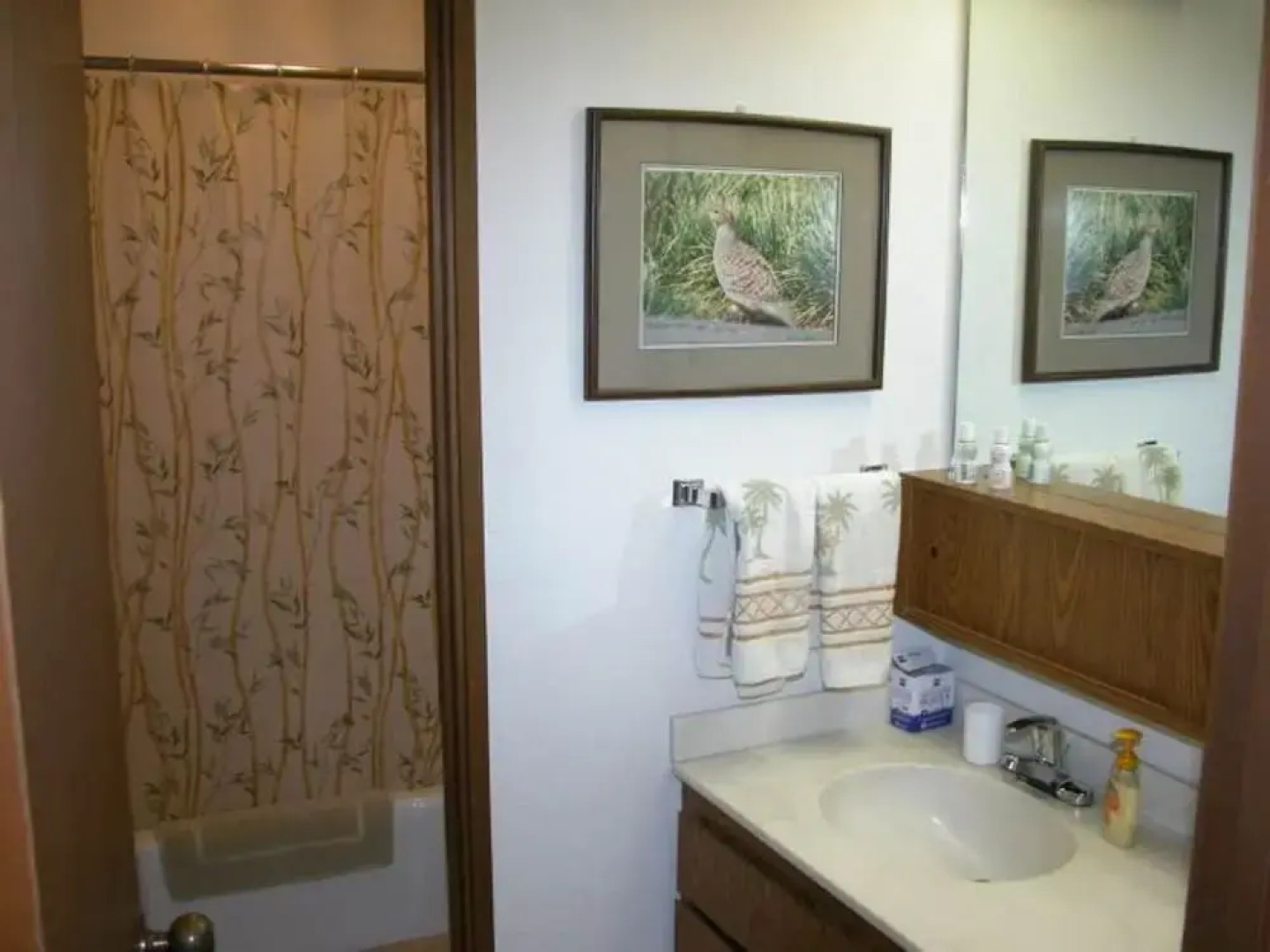 Waikoloa Villa Home with Golf View