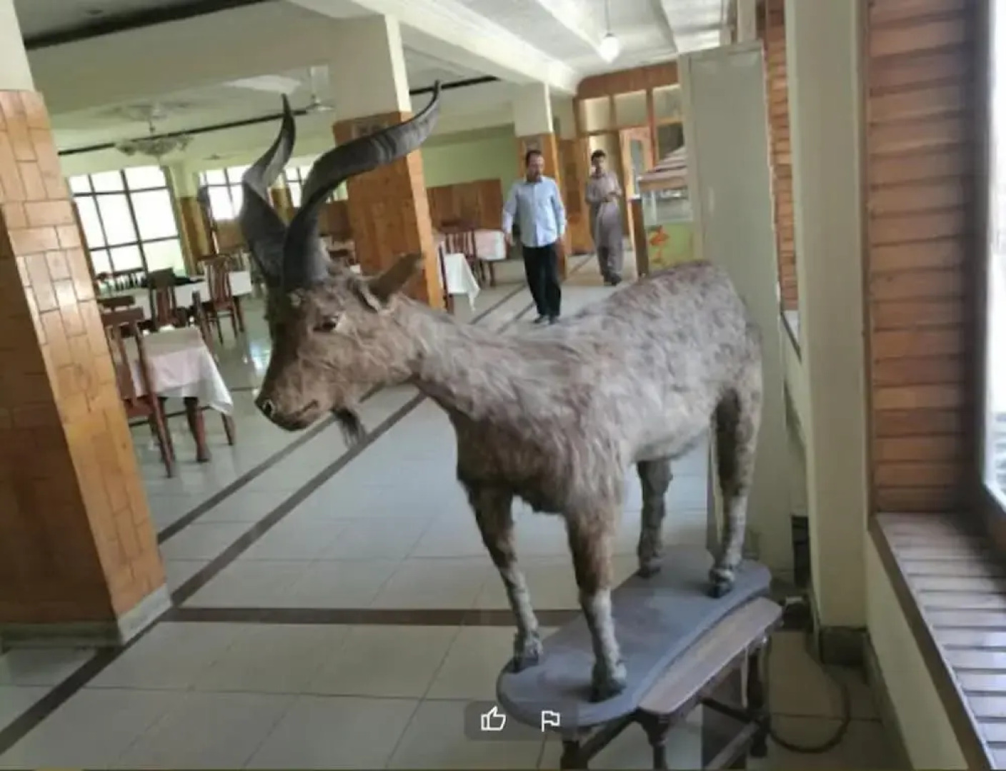 Hotel shaheen International