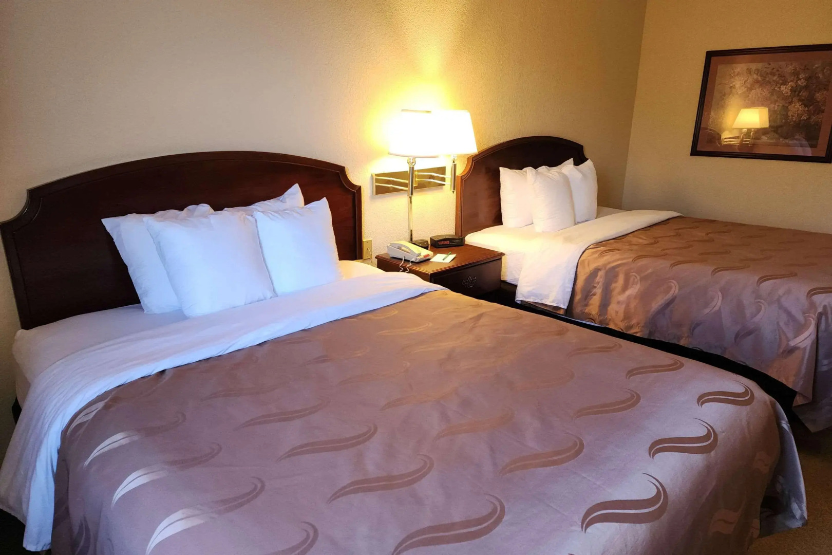 Quality Inn & Suites Bellville - Mansfield