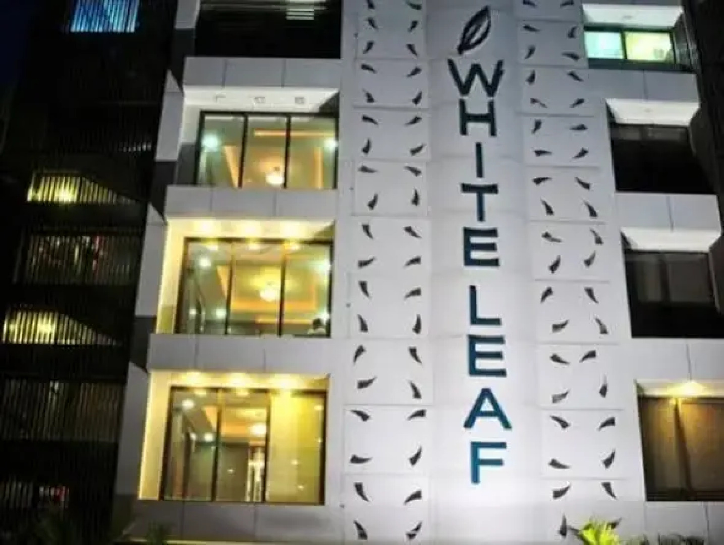 The White Leaf Hotel