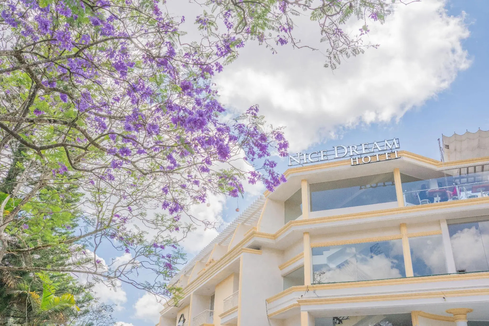 Nice Dream Dalat Hotel