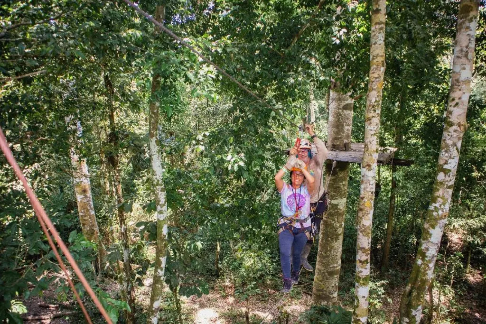 Avatar Amazon Lodge & Canopy Park