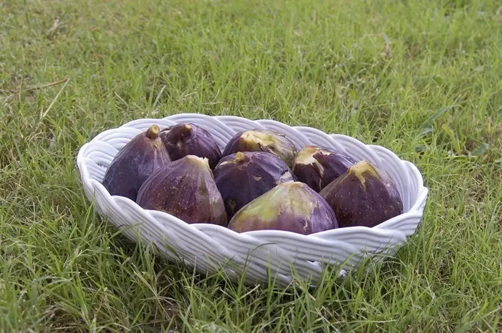 Il Casino di Donna Maria