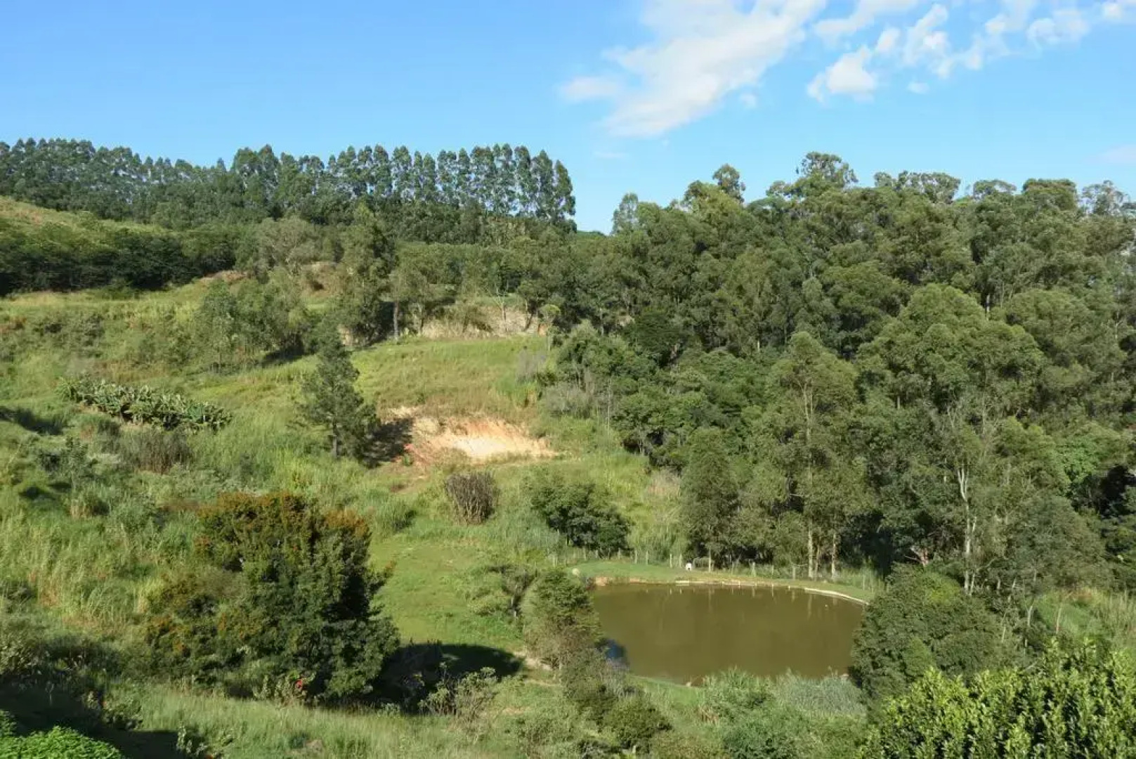 Pousada Sítio do Pica Pau