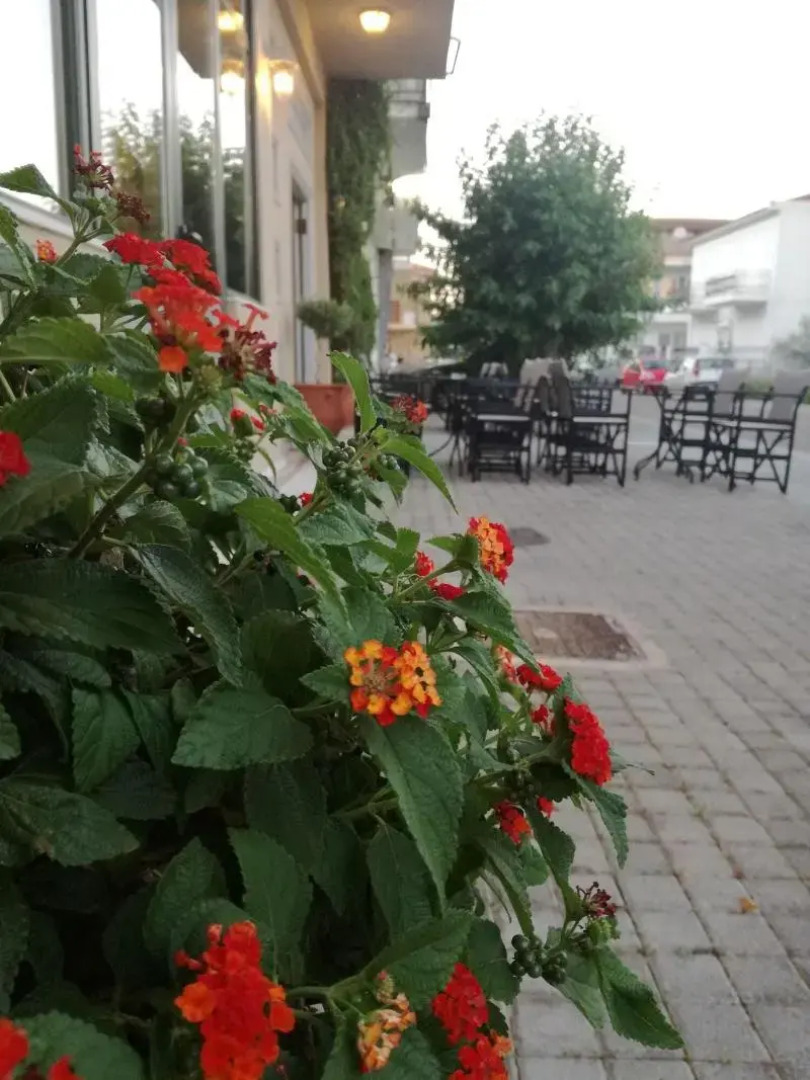 Leonidaion Guest House