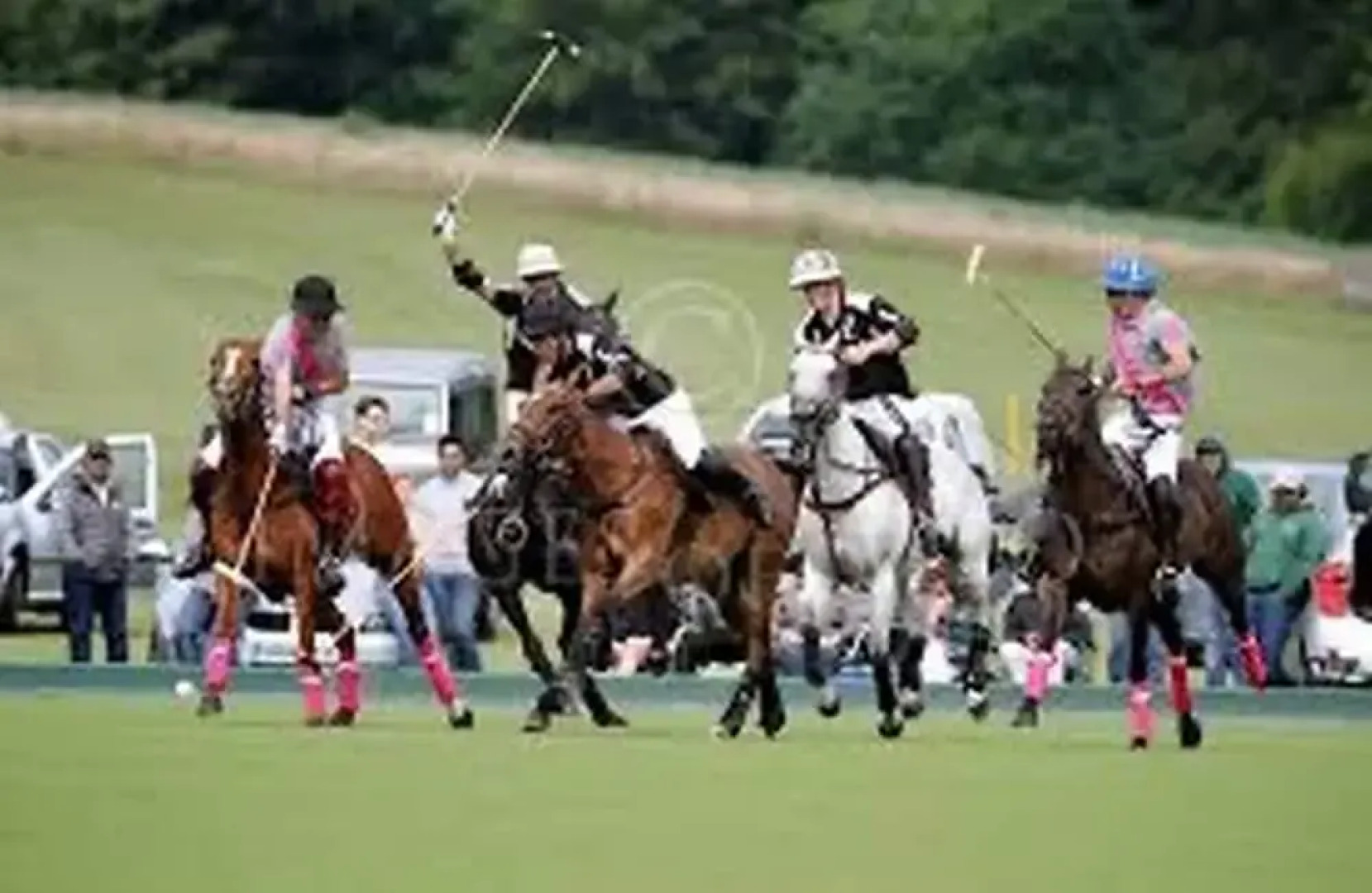 5Bd House In The Forest