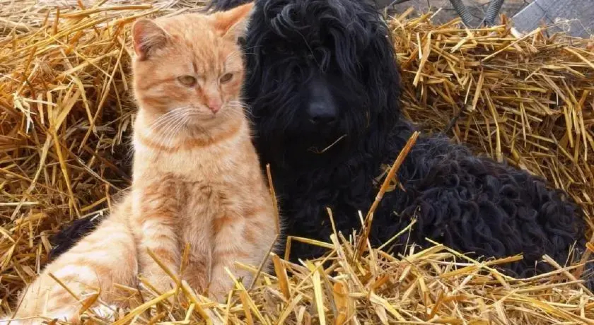 Réti Vendégház és Pálinkaház