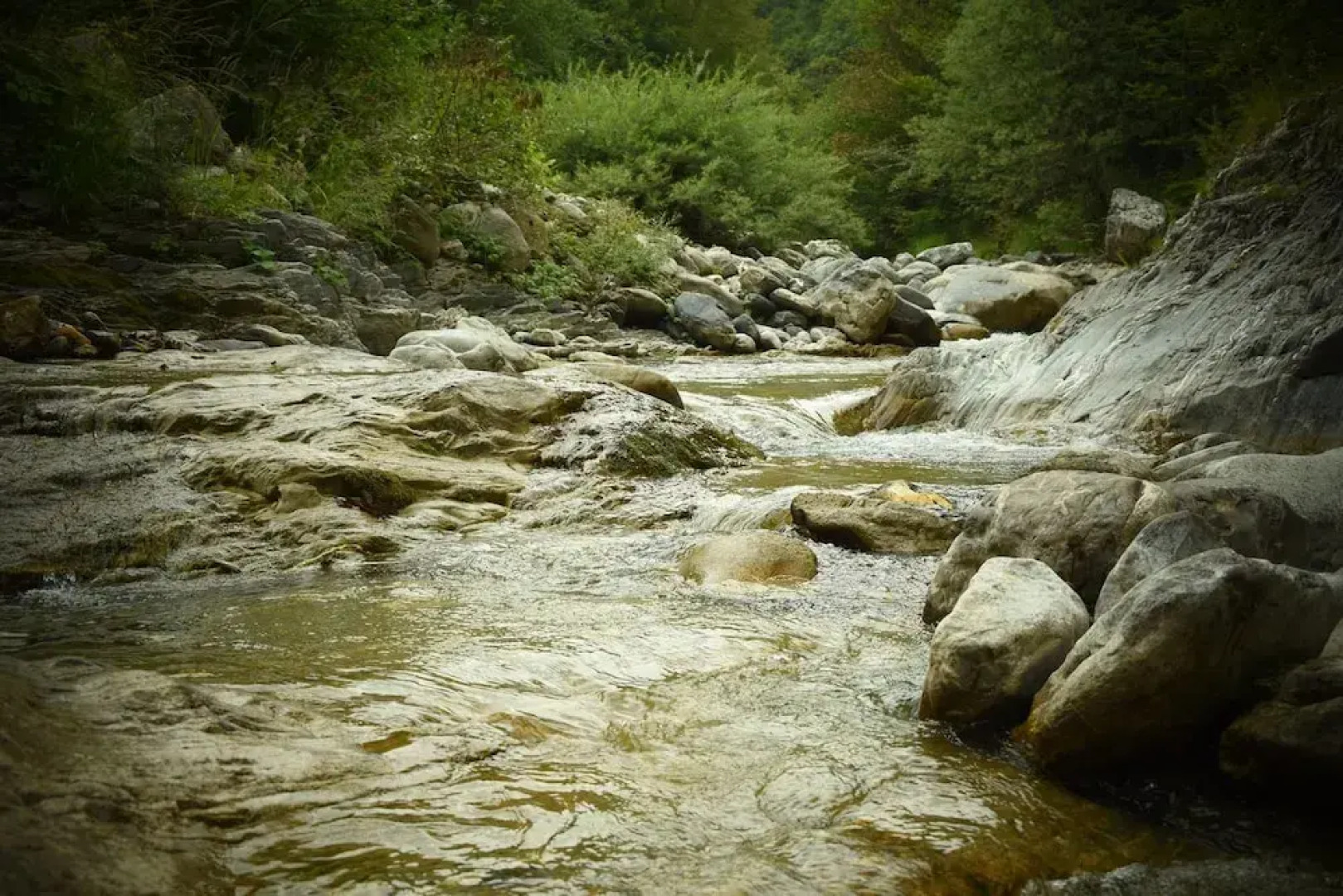 Ca-Jo Bed and Breakfast