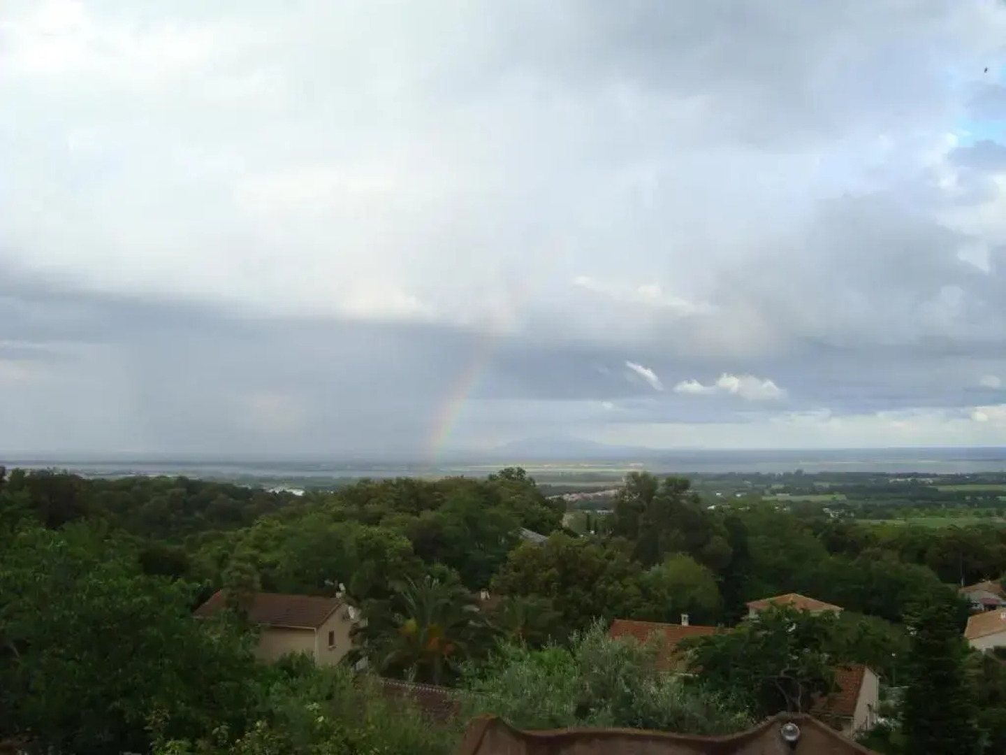 Appartements Luccisano