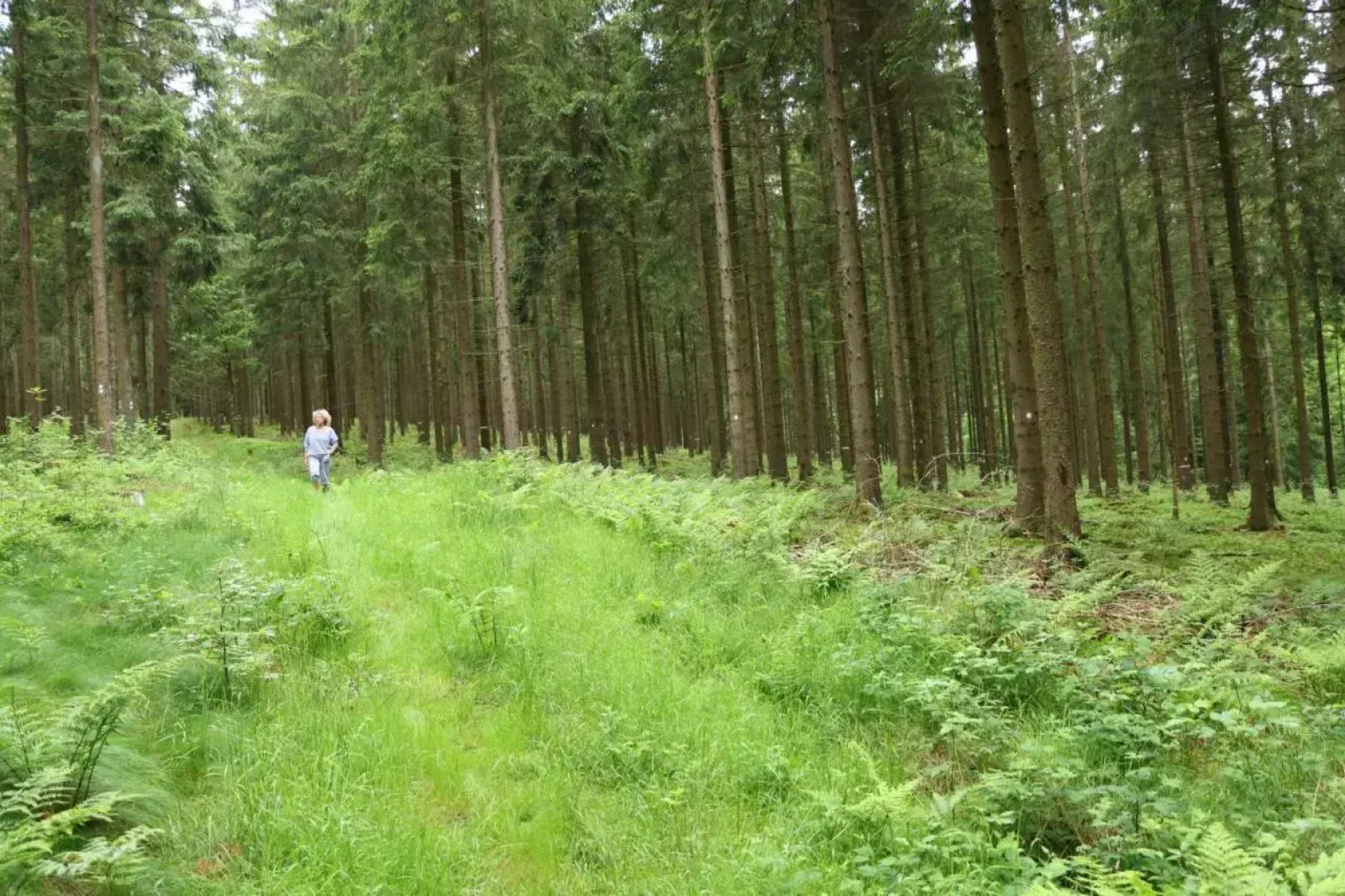 Vakantiehuis De Lounge