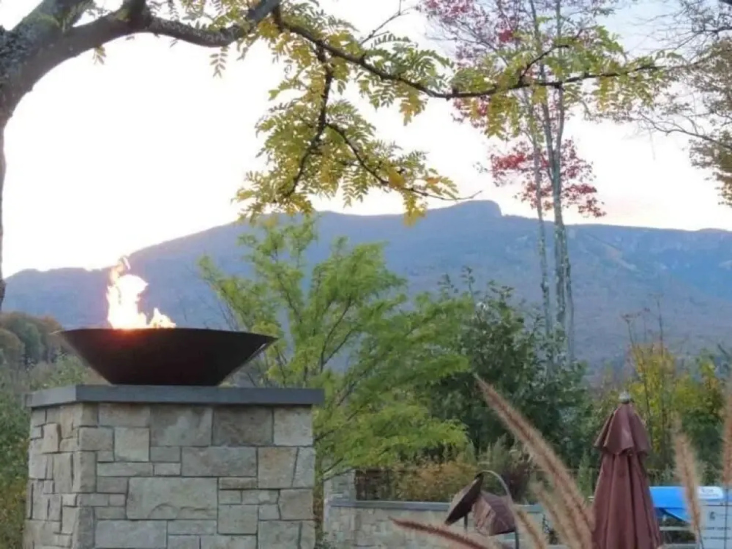 Pet Friendly Pines at Topnotch