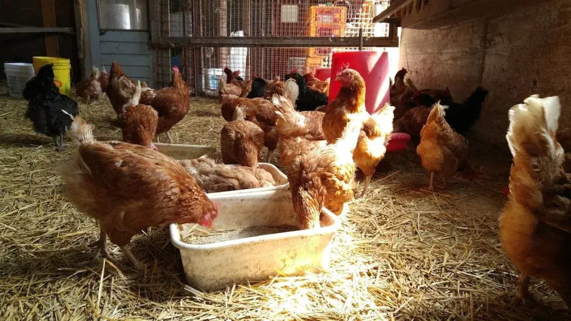 Chez Jacques et Chantale B&B