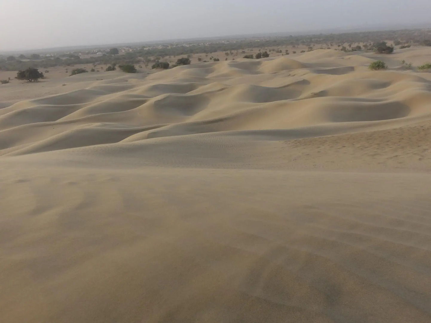 Chandani Desert Resort and Camp