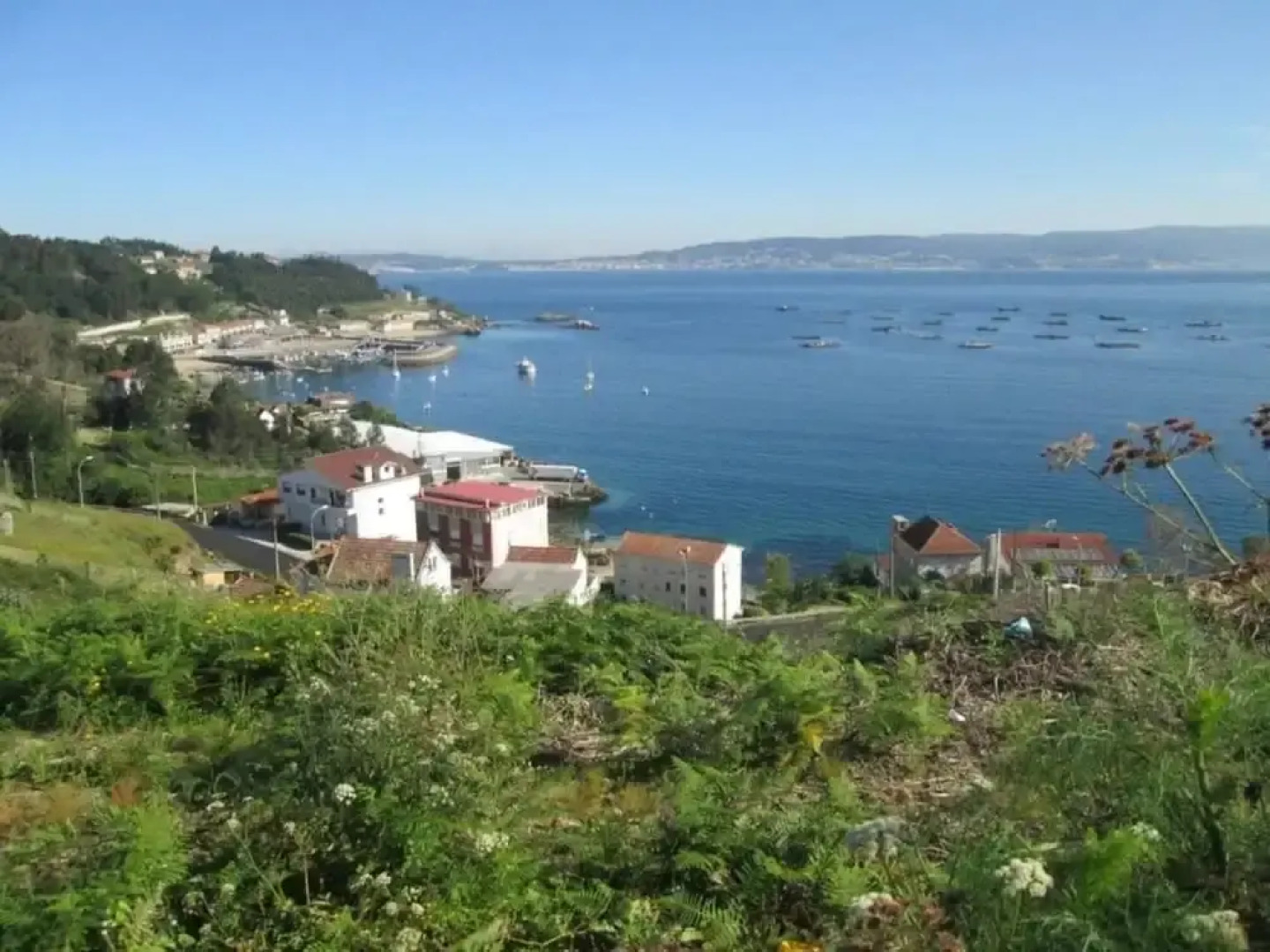 Bueu 101893 2 Bedroom Apartment By Mo Rentals