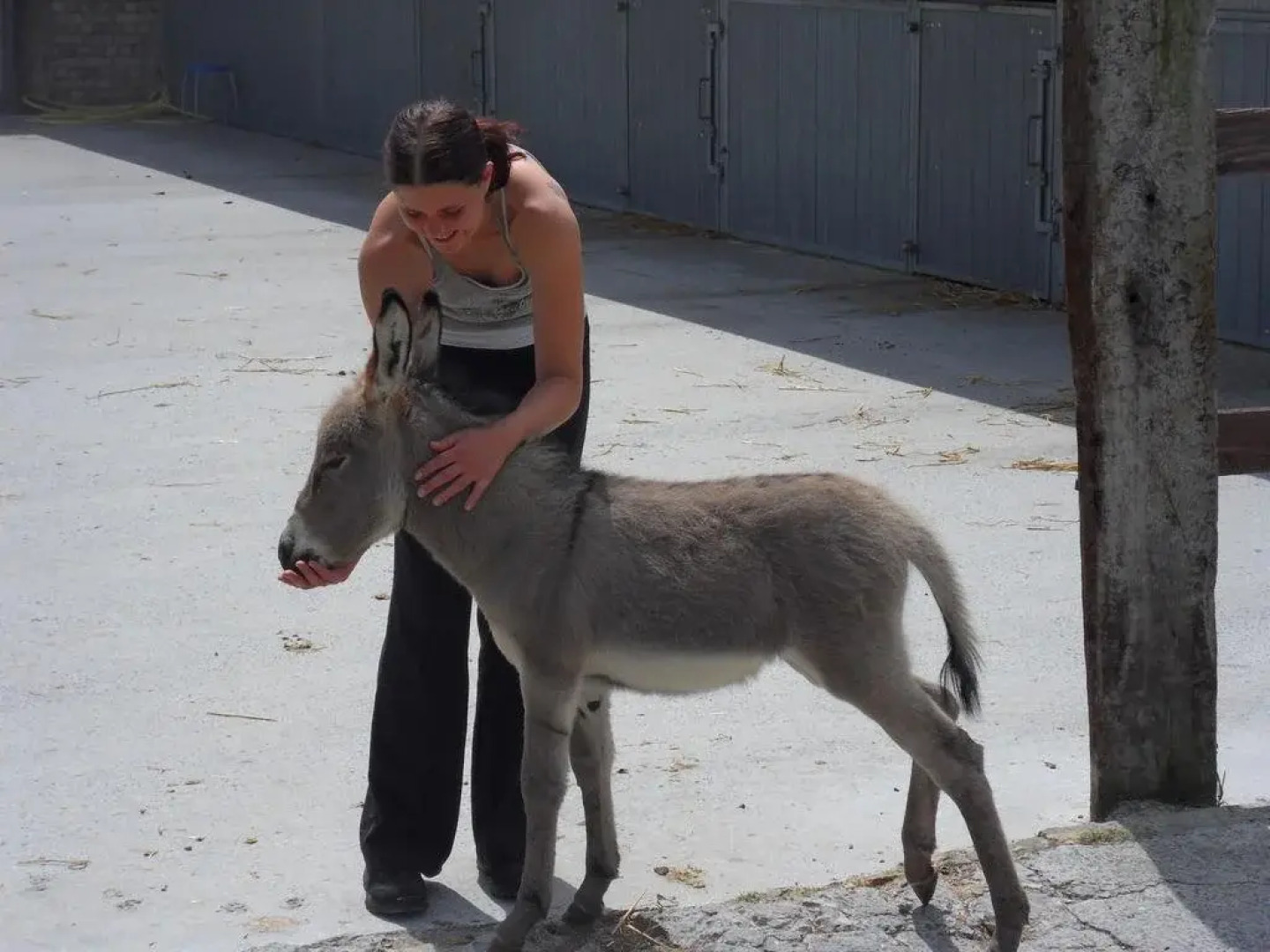 B&B Het Schaliënhof
