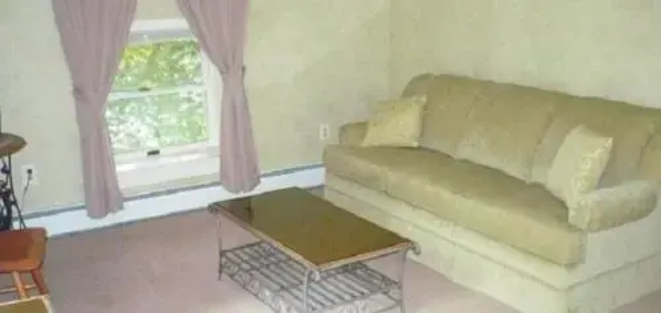 The South Glenora Tree Farm