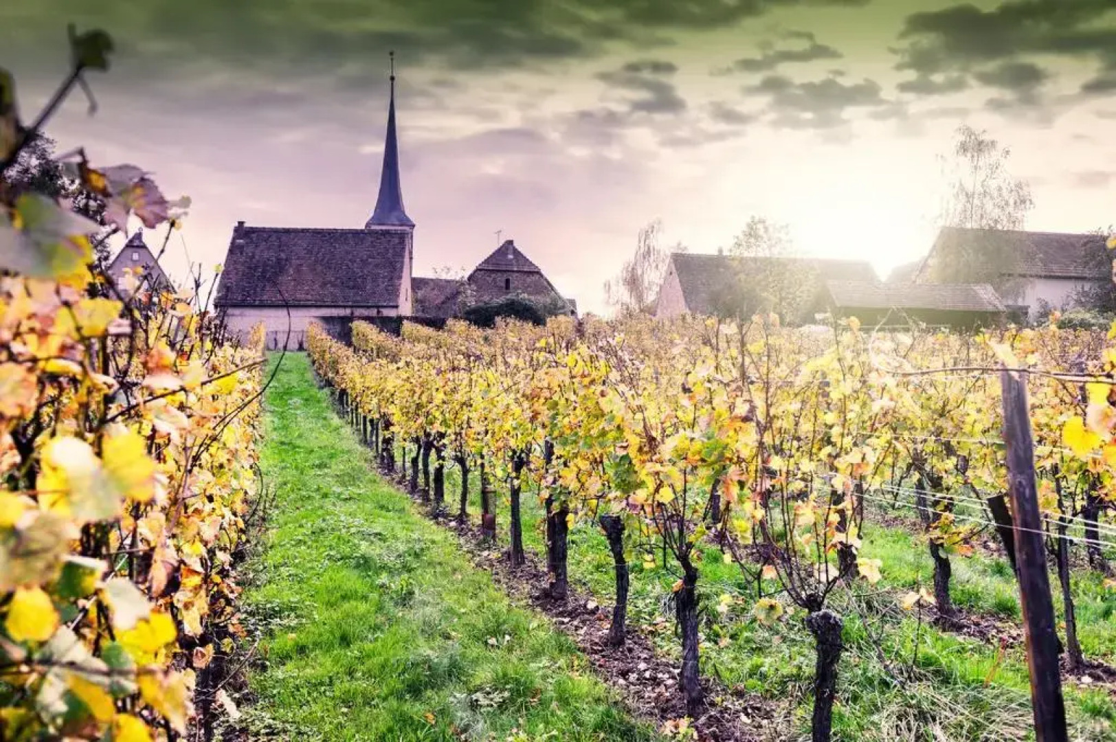 Le TRICOTIN gîte 2-4 personnes