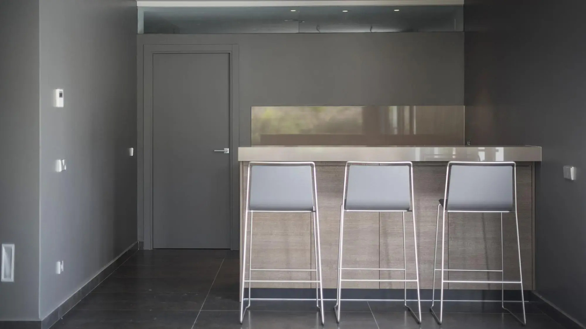 TH85-Limonium-9 in Tarragona