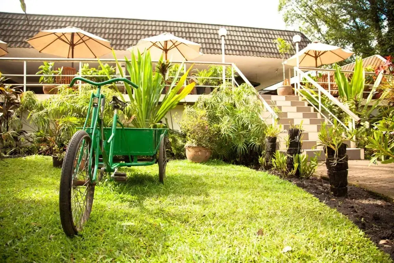 Bird of Paradise Hotel & Apartments