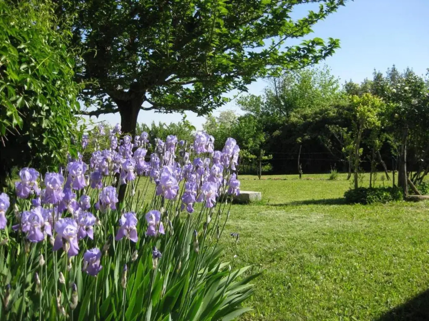 Gite Ossages, 3 pièces, 6 personnes - FR-1-360-113