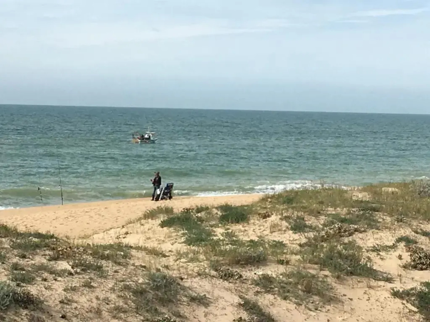 Apartamentos Barracuda