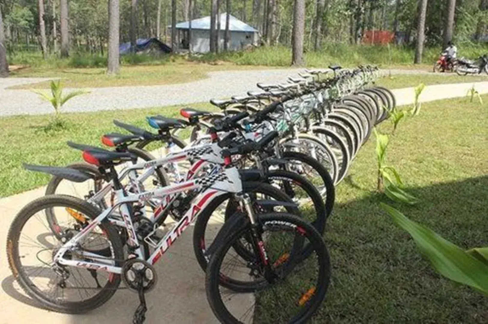 vKirirom Pine Resort