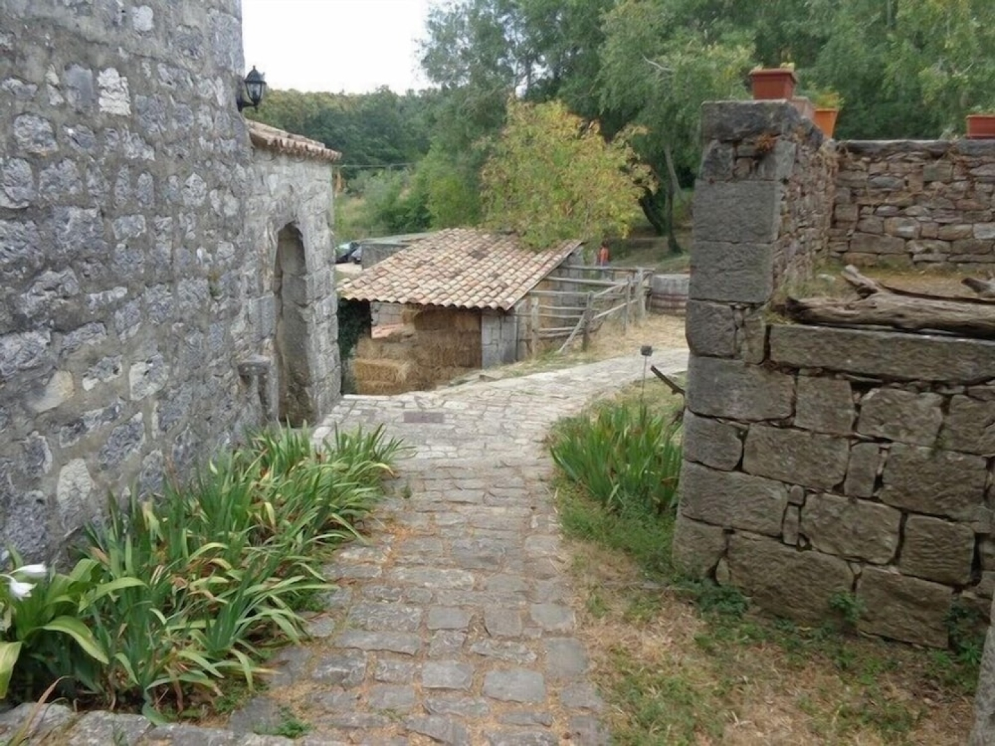 Agriturismo Borgo Cerquelle