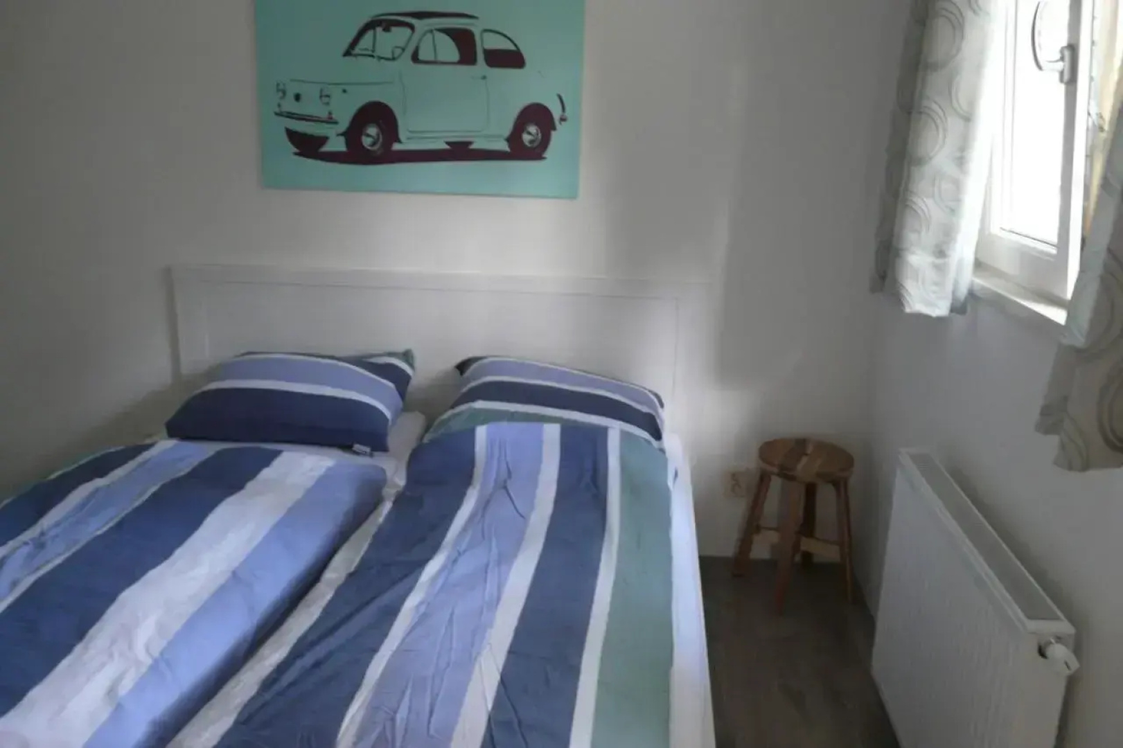 Dolfijn