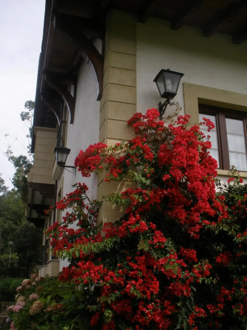 Hotel Posada La Robleda