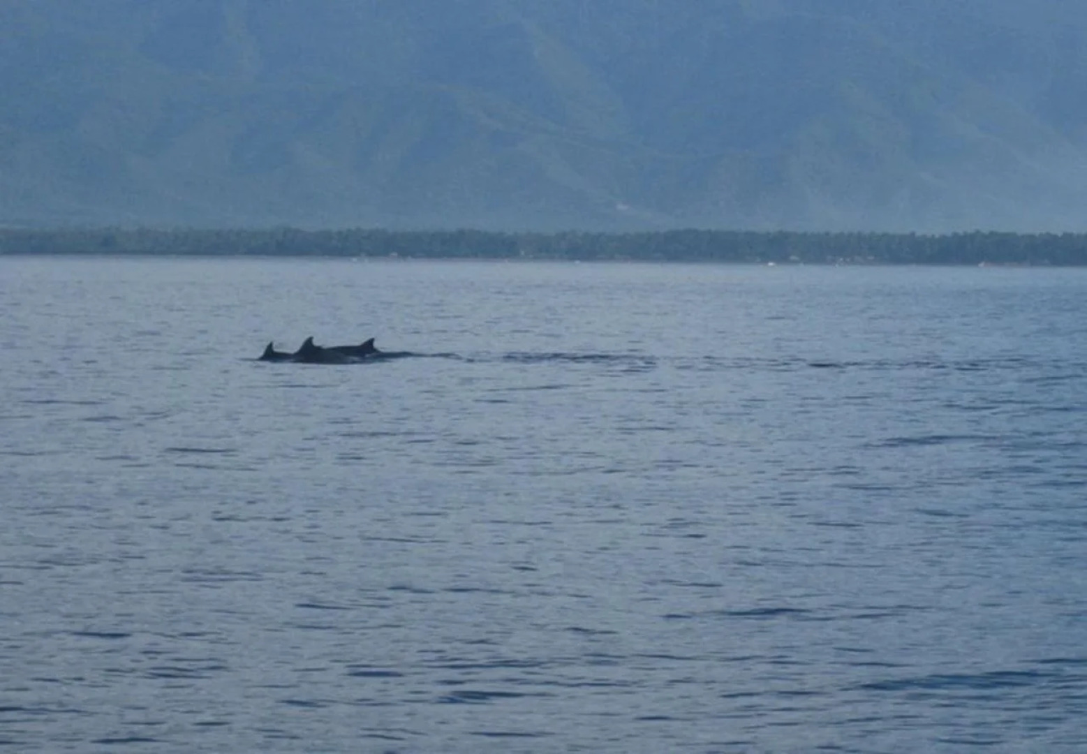 Crystal Paradise Resort Spa & Winery