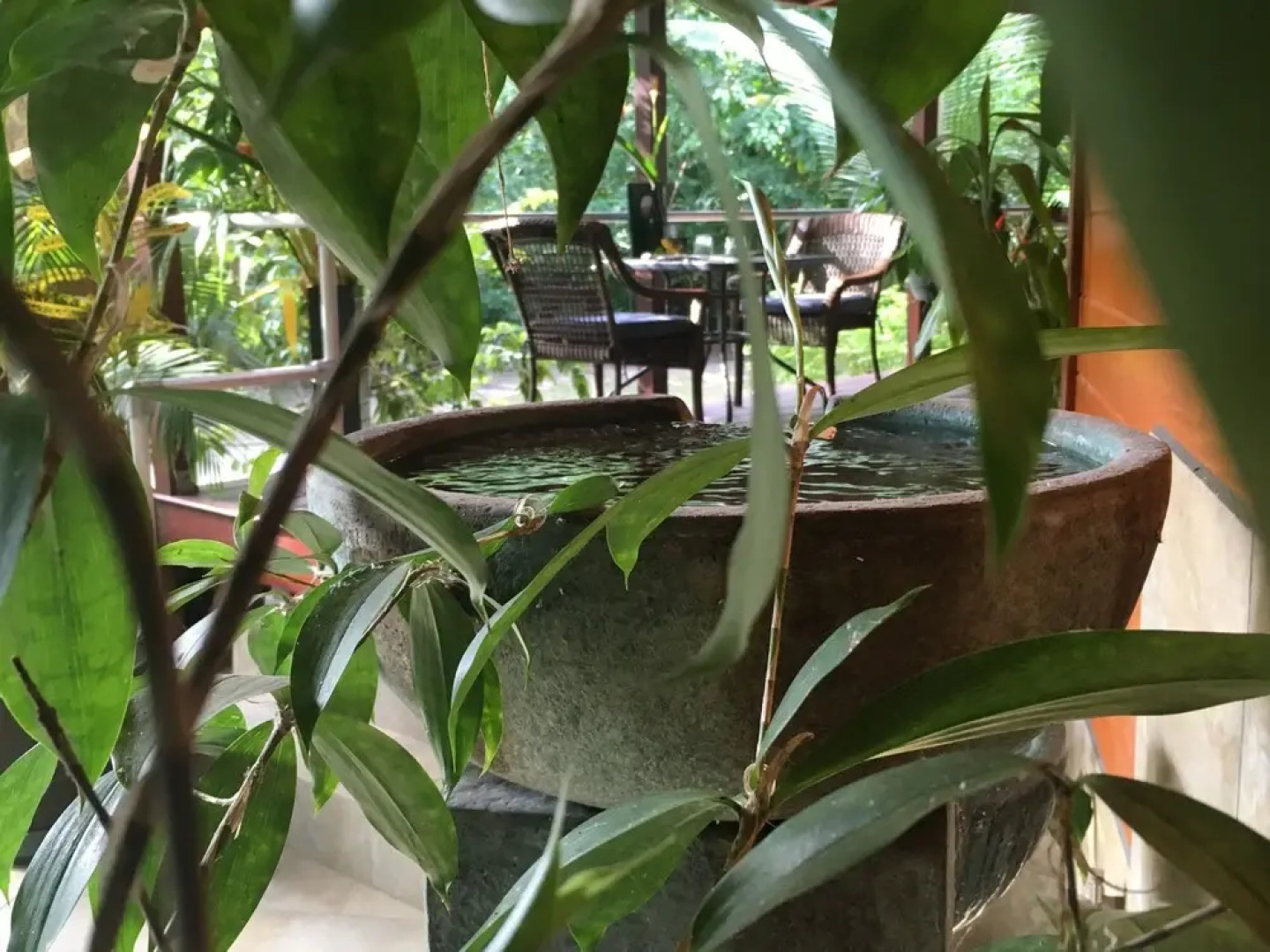 Sunrise Beach Cabanas Eco-Resort