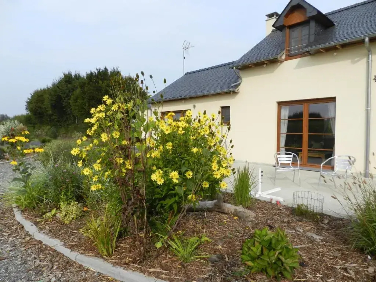 Gîte La Grenouillère