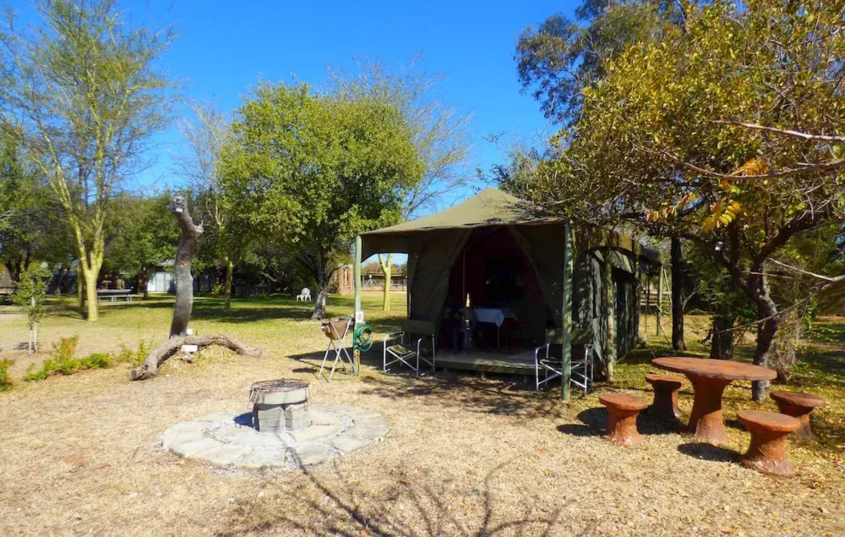 Thorn Tree Bush Camp