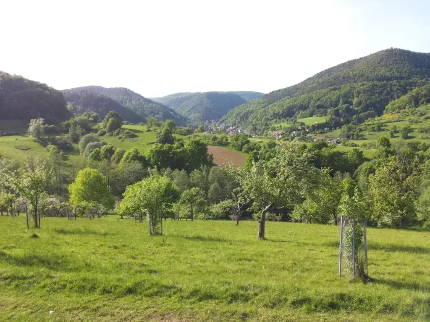 Ferienwohnung am Sulzbach