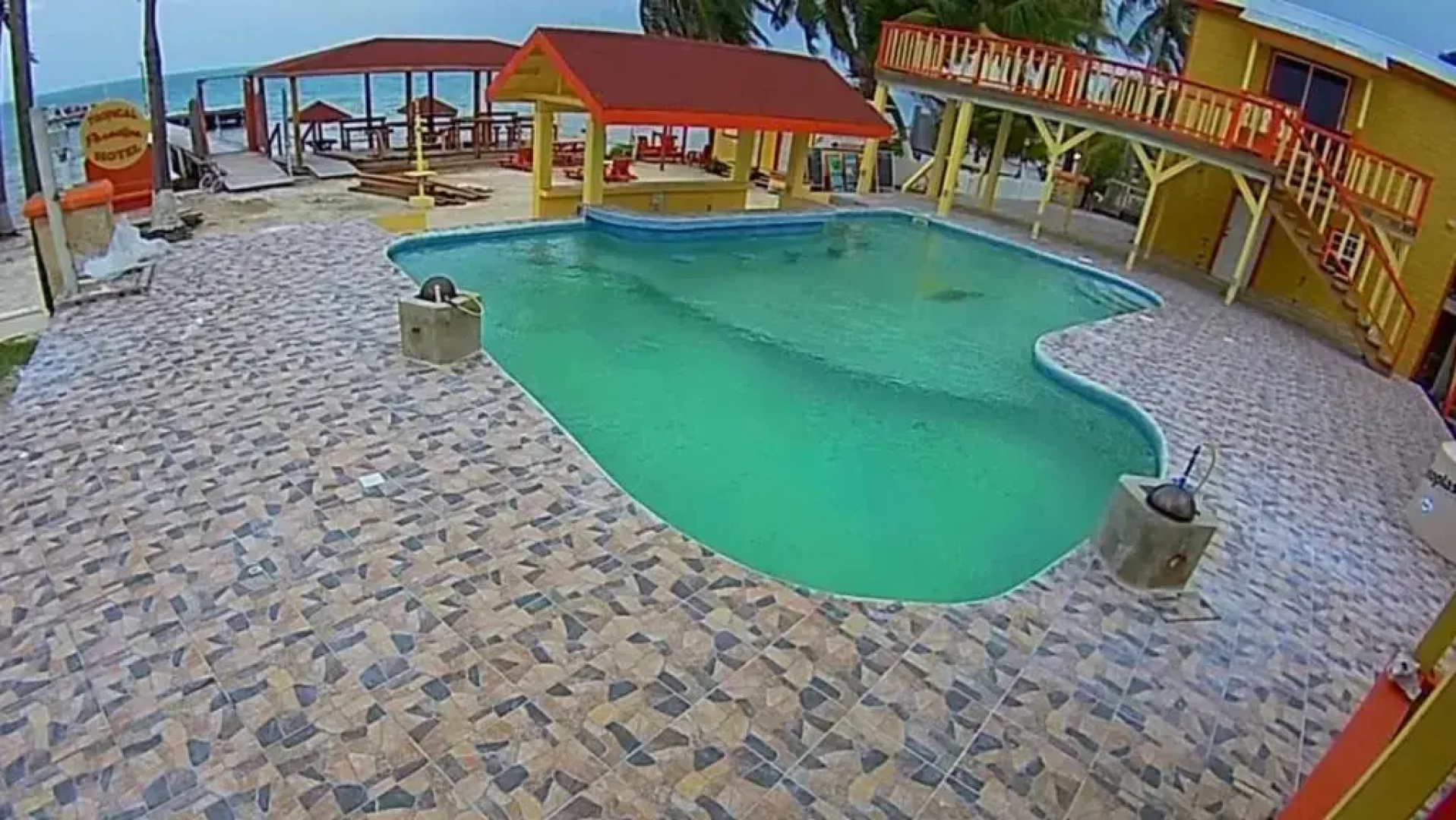 Tropical Paradise Express