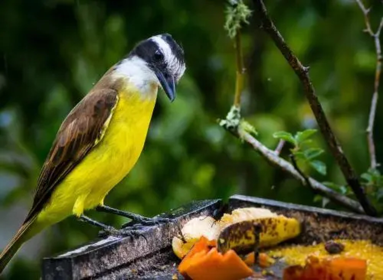 Pousada Vila Santa Barbara