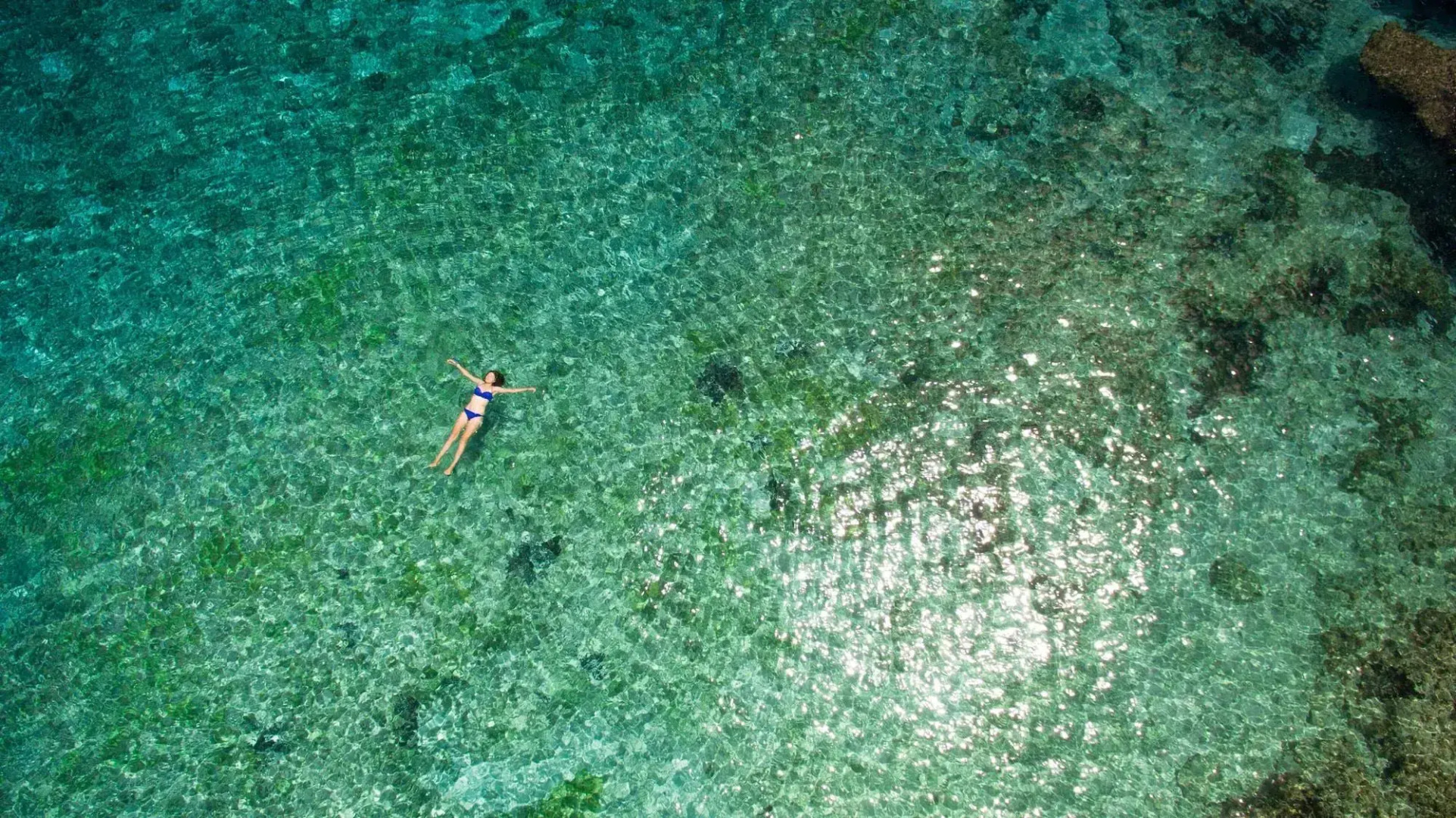 The Explorean Cozumel - All Inclusive